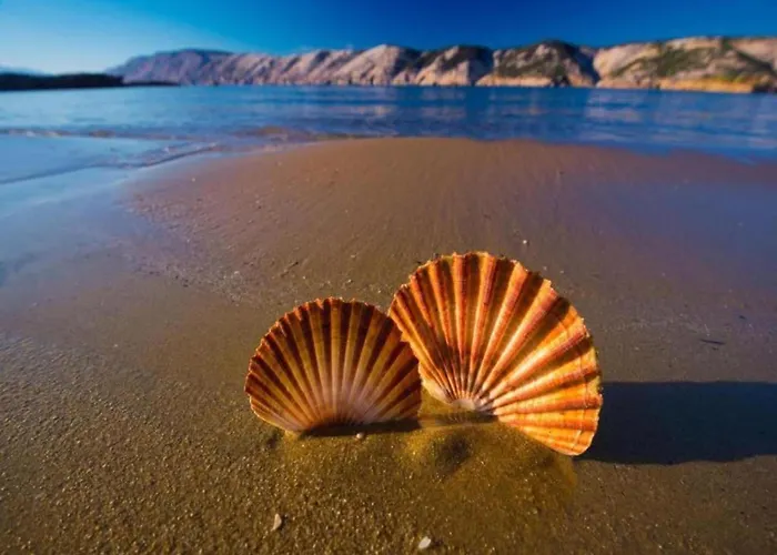 In Rab Near Sandy Ραμπ