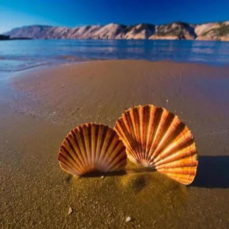 In Rab Near Sandy Раб